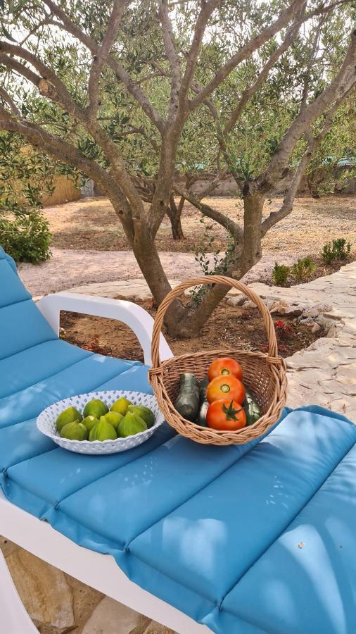 Villa Bubica- Cozy Holiday Home In Rural Area With Pool Stankovci  Εξωτερικό φωτογραφία